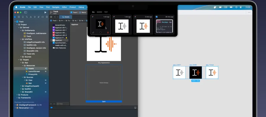 Snippet screenshot: Filtering copied icons while working in Xcode